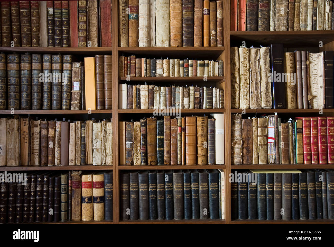 Vecchi libri in una libreria, il Palacio de la Rambla Hotel, a Ubeda, Jaén,  Spagna, Europa Foto stock - Alamy