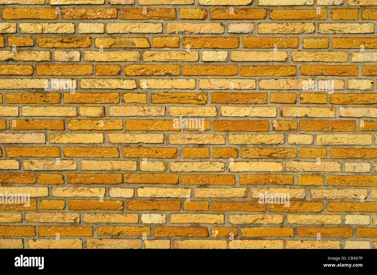Giallo satinato parete di mattoni clinker Foto Stock