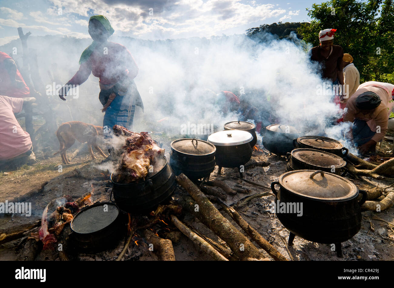 La cottura durante la Sangoma o Witchdoctor Festival, Costa Selvaggia, Capo orientale, Sud Africa e Africa Foto Stock