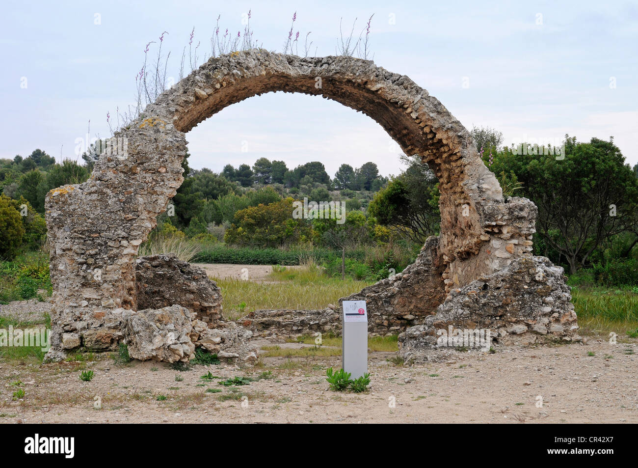 Villa Romana de Els Munts, museo, sito archeologico, insediamento romano, Altafulla, Tarragona, Catalogna, Spagna, Europa Foto Stock