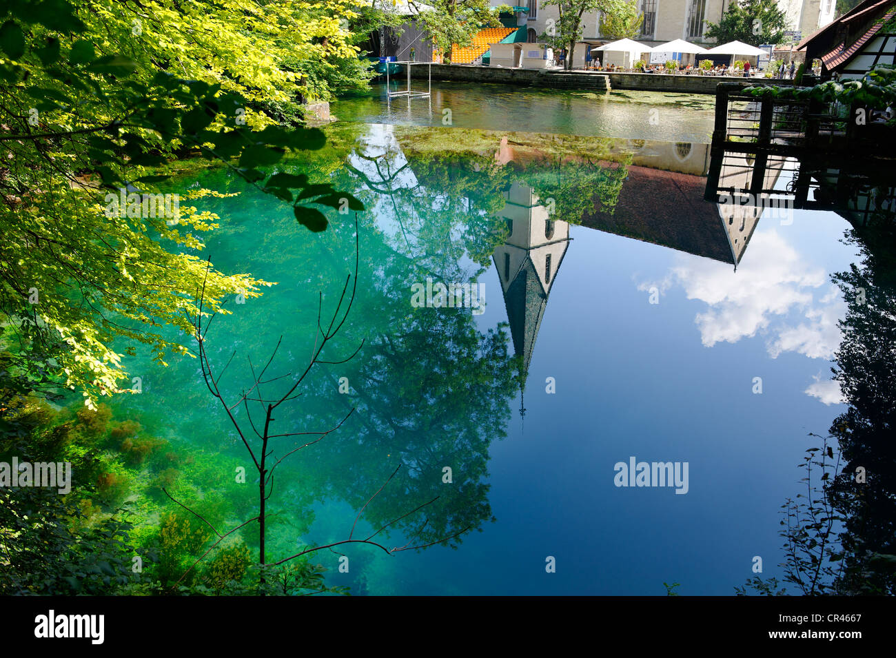 Molla di Blautopf vicino a Blaubeuren, Svevo, Alb-Danube-distretto, Baden-Wuerttemberg, Deutschland, Europa Foto Stock