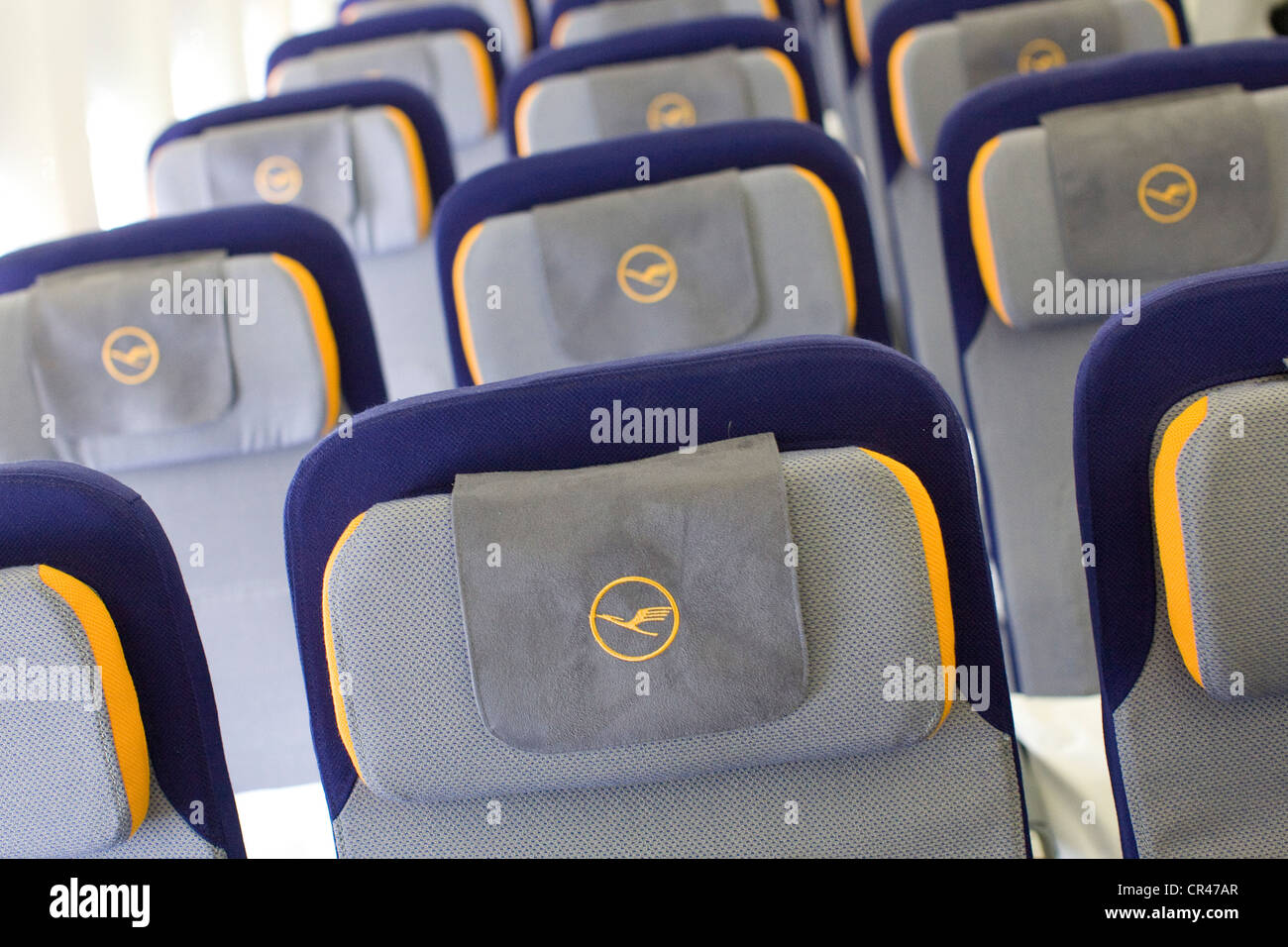 La classe Economica sezione di Lufthansa Boeing 747-8. Foto Stock