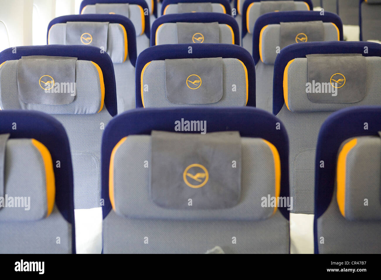 La classe Economica sezione di Lufthansa Boeing 747-8. Foto Stock