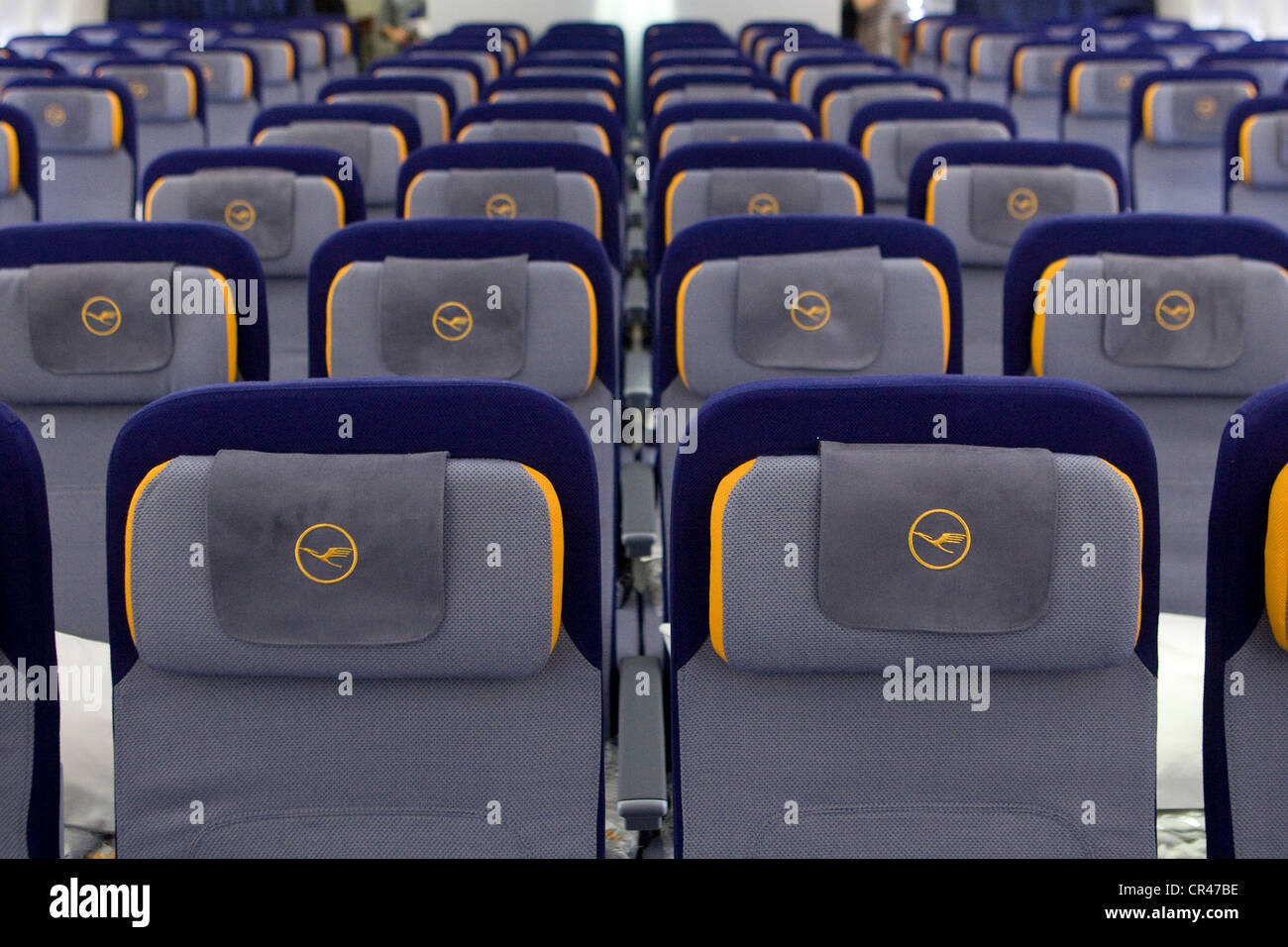 La classe Economica sezione di Lufthansa Boeing 747-8. Foto Stock