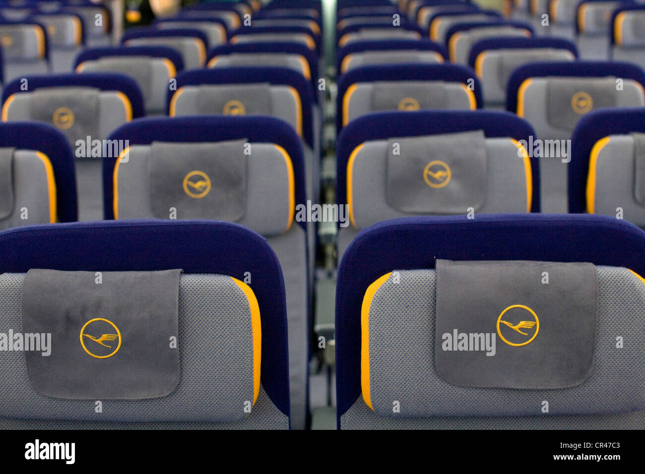 La classe Economica sezione di Lufthansa Boeing 747-8. Foto Stock