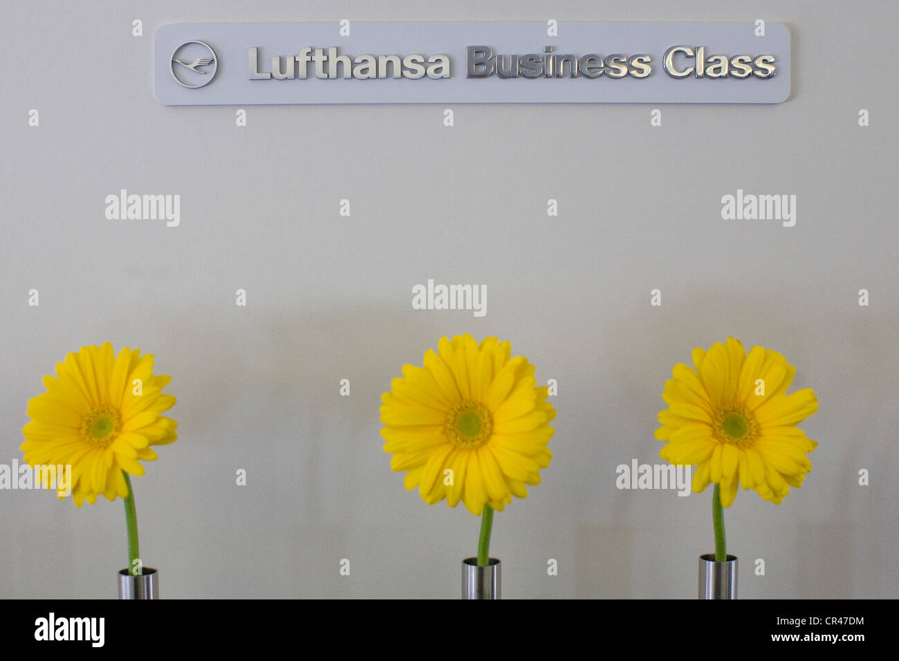 Nella sezione Business Class di Lufthansa Boeing 747-8. Foto Stock