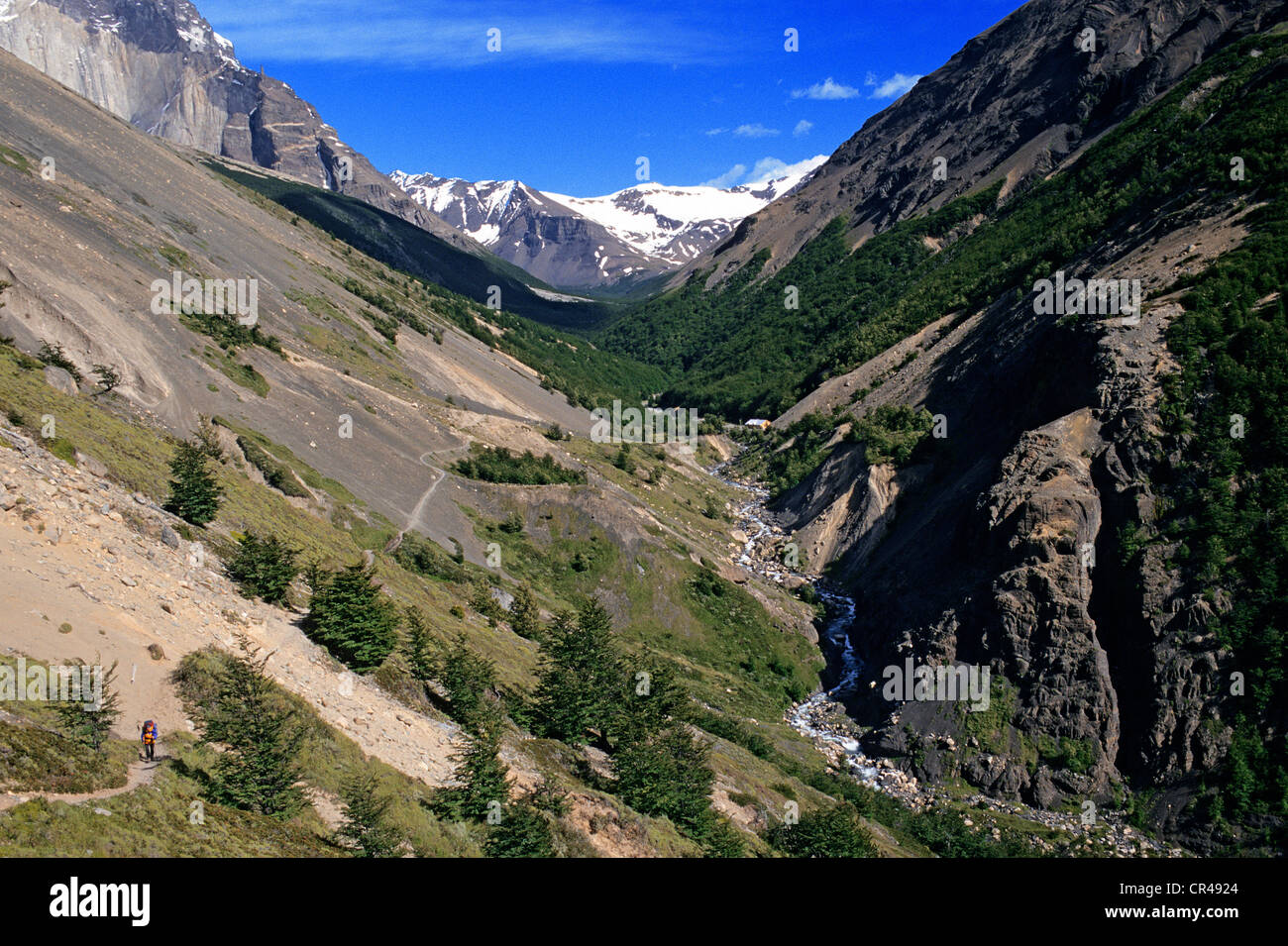 Il Cile, Magallanes e Antartica Chilena Regione, Ultima Esperanza Provincia, Parco Nazionale di Torres del Paine trekking nel parco Foto Stock