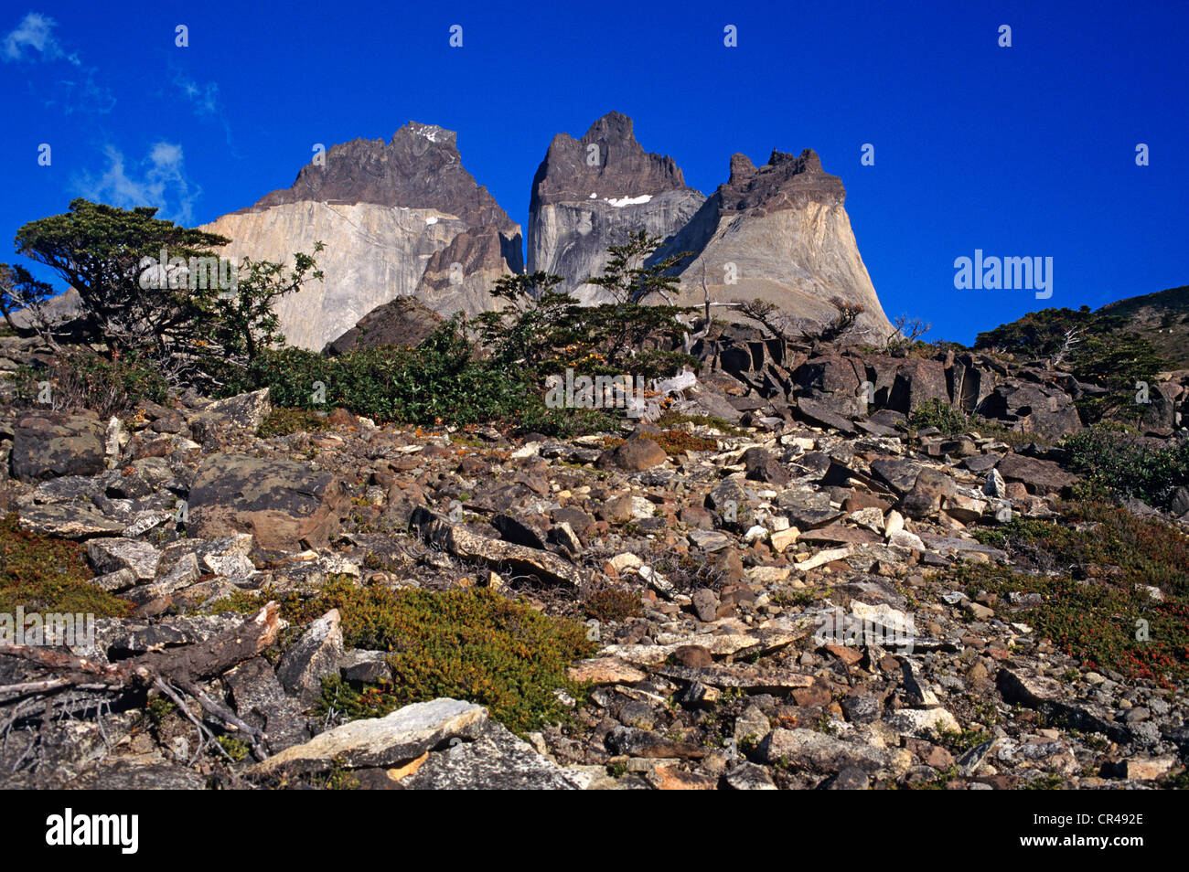 Il Cile, Magallanes e Antartica Chilena Regione, Ultima Esperanza Provincia, parco nazionale Torres del Paine, pietre nella parte inferiore Foto Stock