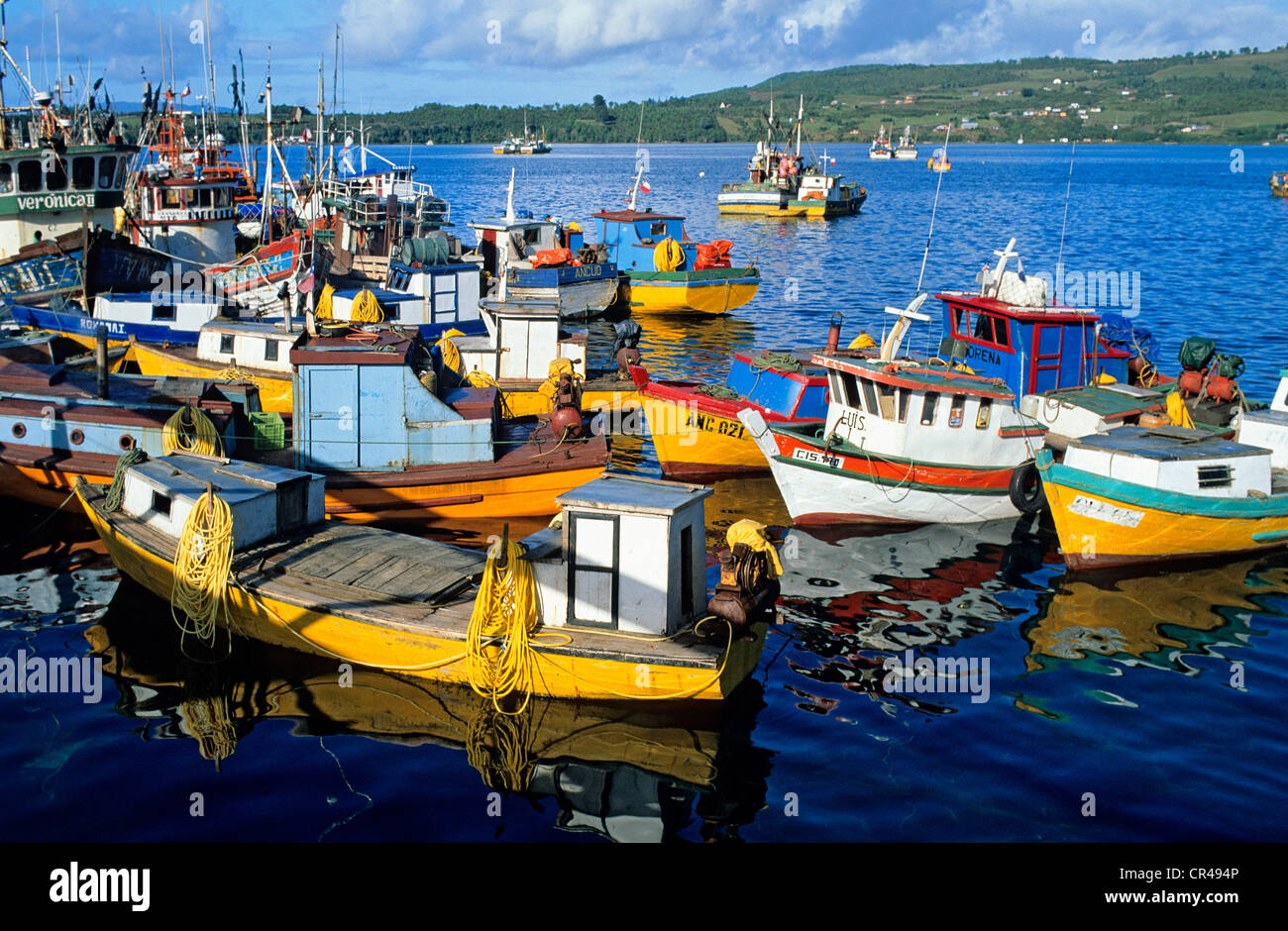 Il Cile, Los Lagos Regione, Provincia di Chiloe, Isola di Chiloe, Quellon,  porto di pesca Foto stock - Alamy