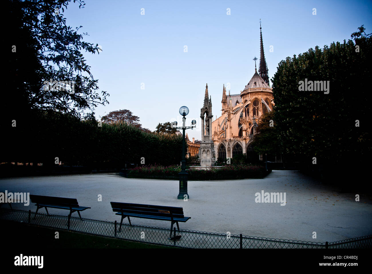 Giardino di Le piazza Jean XXIII con la cattedrale di Notre Dame a retro, Île-de-France, Parigi, Francia Europa Foto Stock