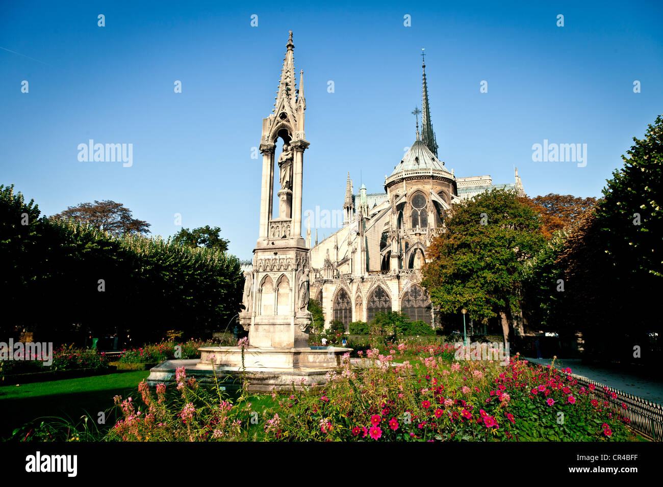 Giardino di Le piazza Jean XXIII con la cattedrale di Notre Dame a retro, Parigi, Île-de-France, Francia, Europa Foto Stock