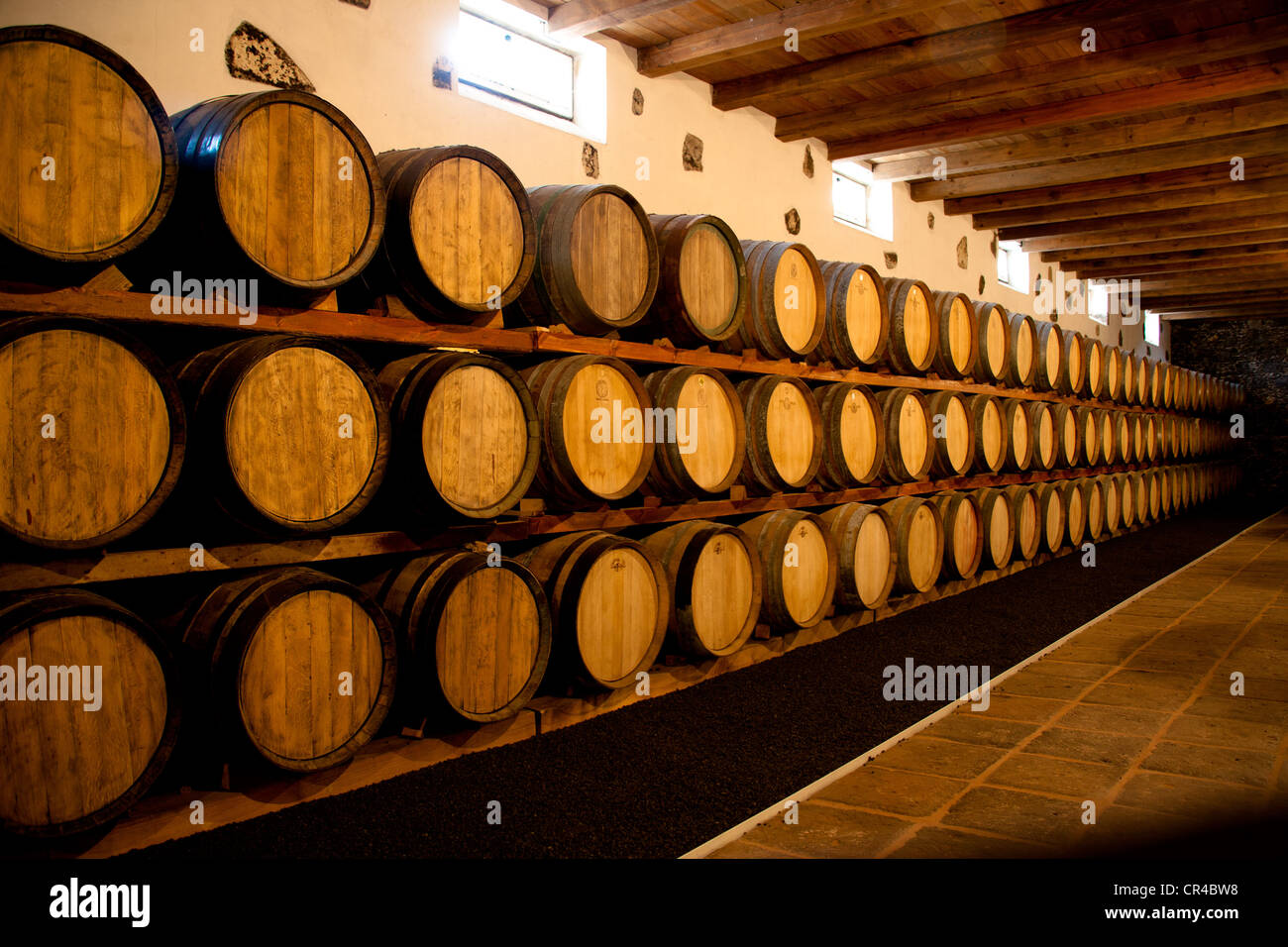 Botti da vino nel Museo del Vino in La Geria, dove il vino è cresciuto in piena di ceneri vulcaniche, una produzione che è unico in tutto il mondo Foto Stock