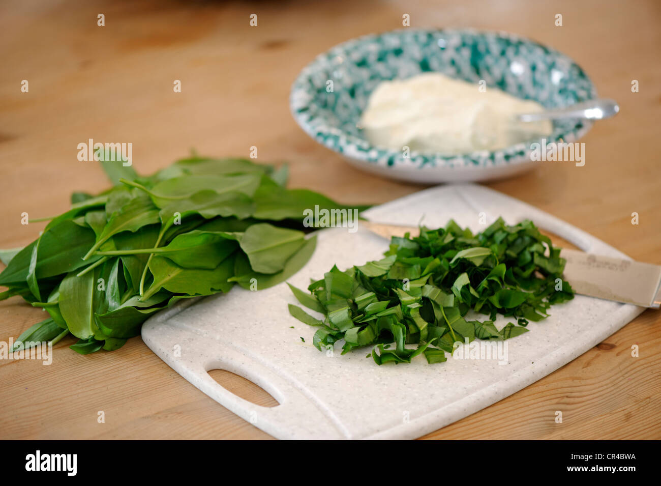 Un trito di Ramsons (Allium ursinum), erbe con ricotta Foto Stock