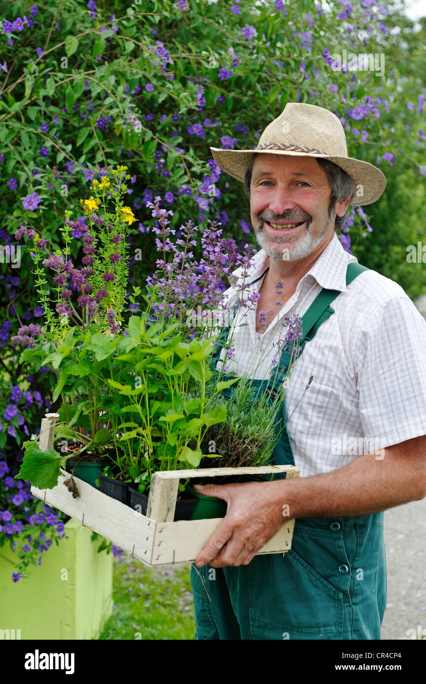 Giardiniere con cappello di paglia e una scatola di piante di erbe Foto  stock - Alamy