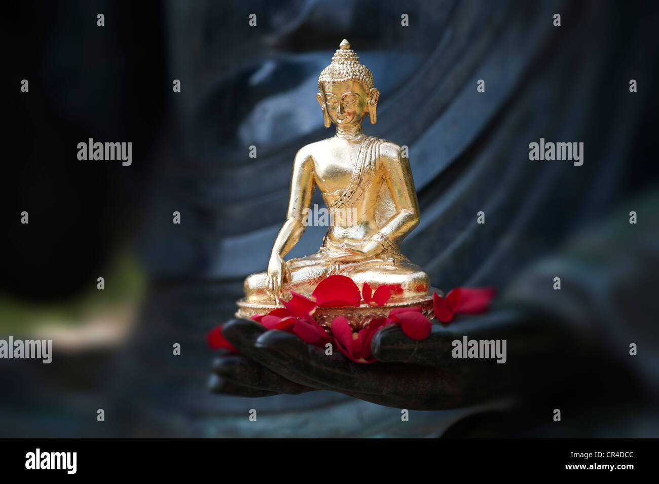 Golden statua del Buddha e il rosso dei petali di rosa sul lato di una grande statua del Buddha Foto Stock