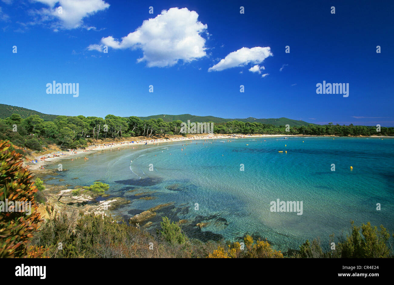 Francia, Var, nei pressi di La Londe les Maures, Eoube cape, Estagnol beach Foto Stock