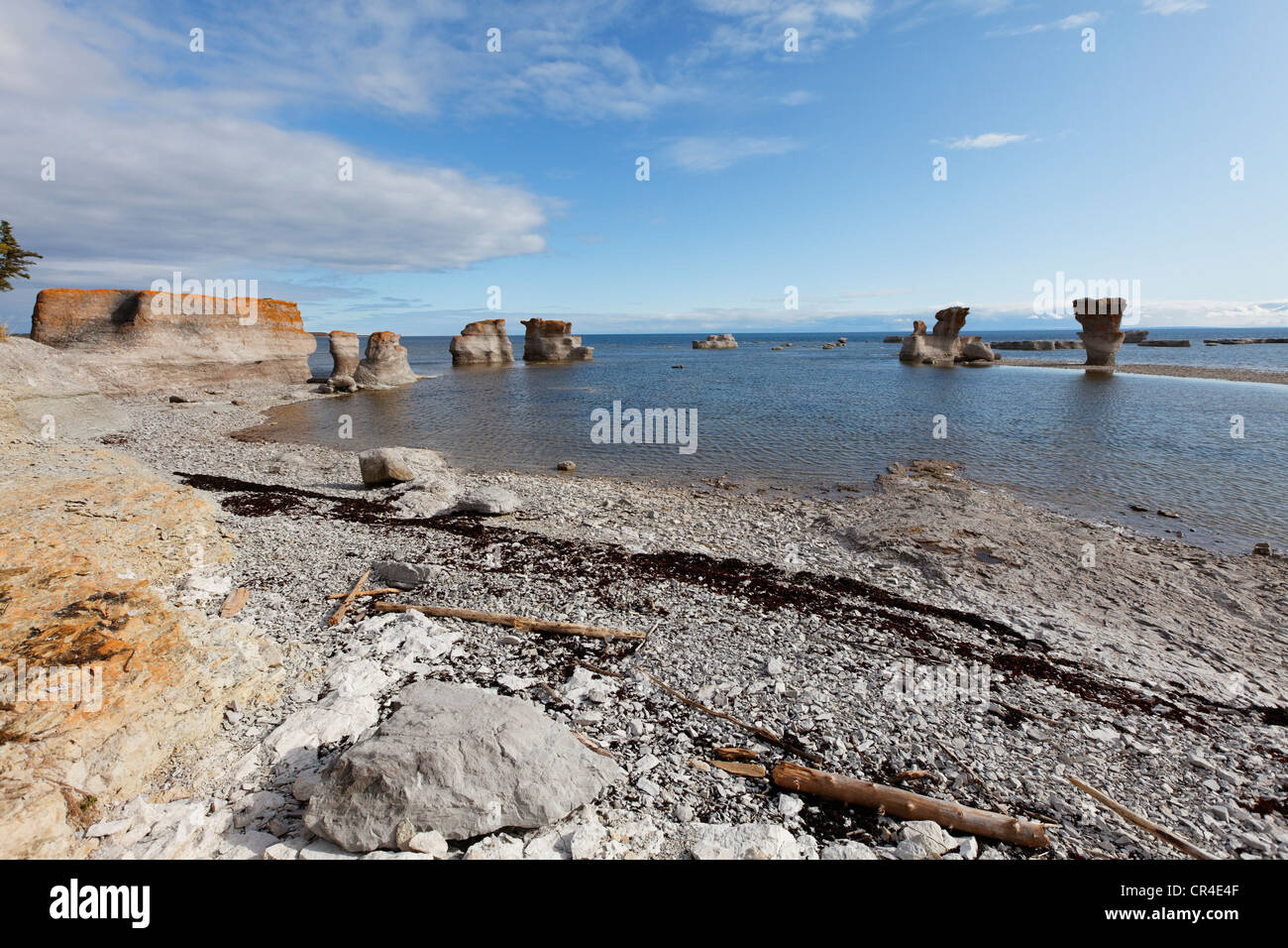 Le formazioni rocciose di una costa, arcipelago di Mingan Parco nazionale di riserva, isola di cava, Duplessis district, Quebec, Canada Foto Stock