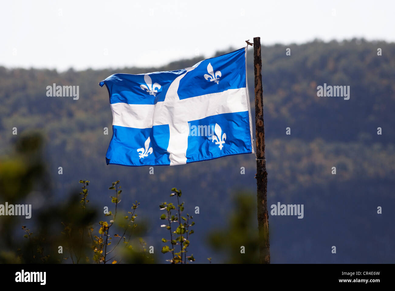 Bandiera del Quebec Quebec, Canada Foto Stock