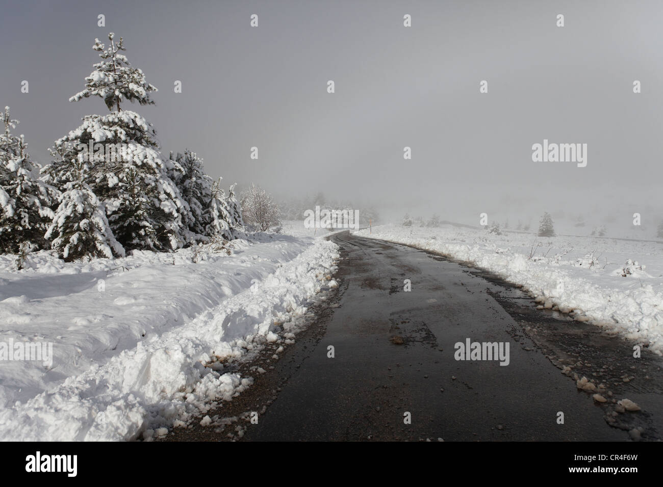 Strada nella neve, Pays de Sault, Drome, Francia, Europa Foto Stock