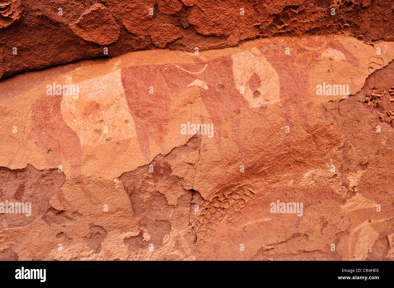 Dipinto di mucca, rockart neolitica dell Acacus montagne o Tadrart Acacus, gamma del Tassili n'Ajjer National Park Foto Stock