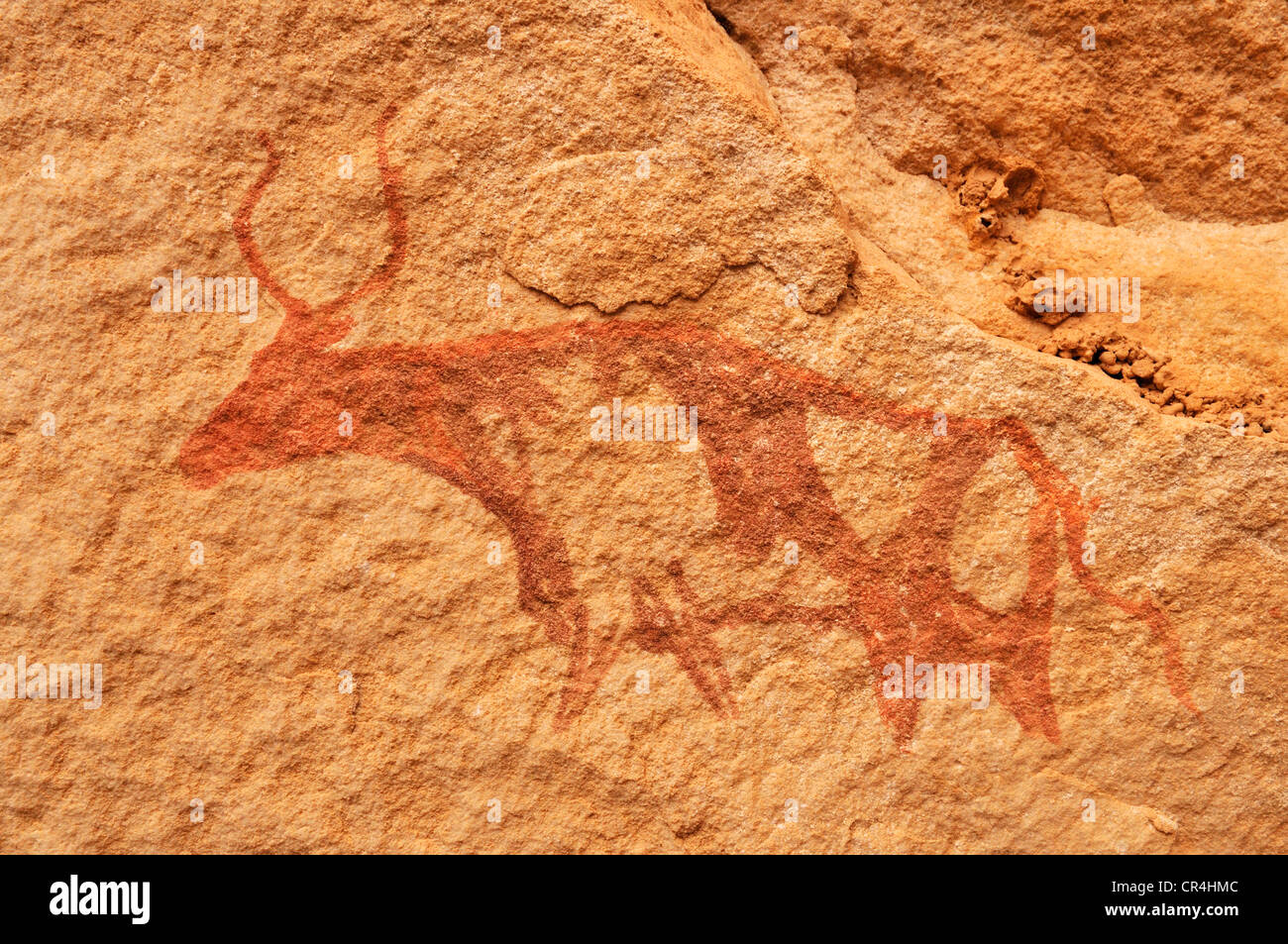 Dipinto di mucca, neolitico di arte rupestre del Tadrart, del Tassili n'Ajjer National Park, sito Patrimonio Mondiale dell'Unesco, Algeria, Sahara Foto Stock