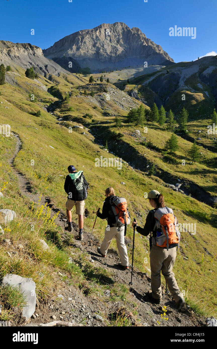 Escursionismo e trekking gruppo su un sentiero alpino al di sotto di Tete de Boulonne, 2222 m, il Parco Nazionale del Mercantour, Haute Verdon montagne Foto Stock