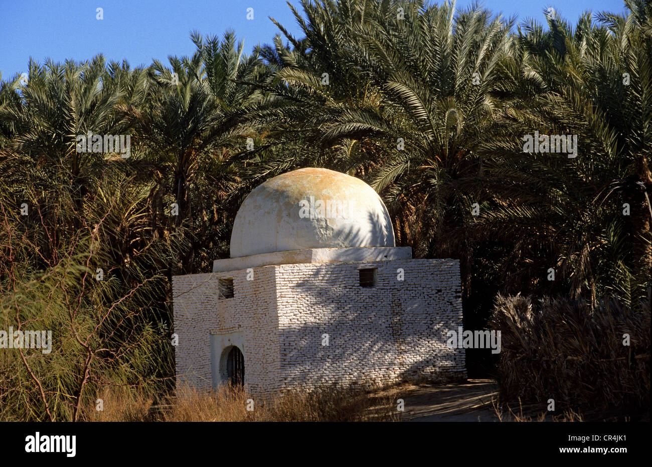 La Tunisia, Tozeur Governatorato, Tozeur Palm grove, il dettaglio di un Marabout (figura di un santo santuario) Foto Stock