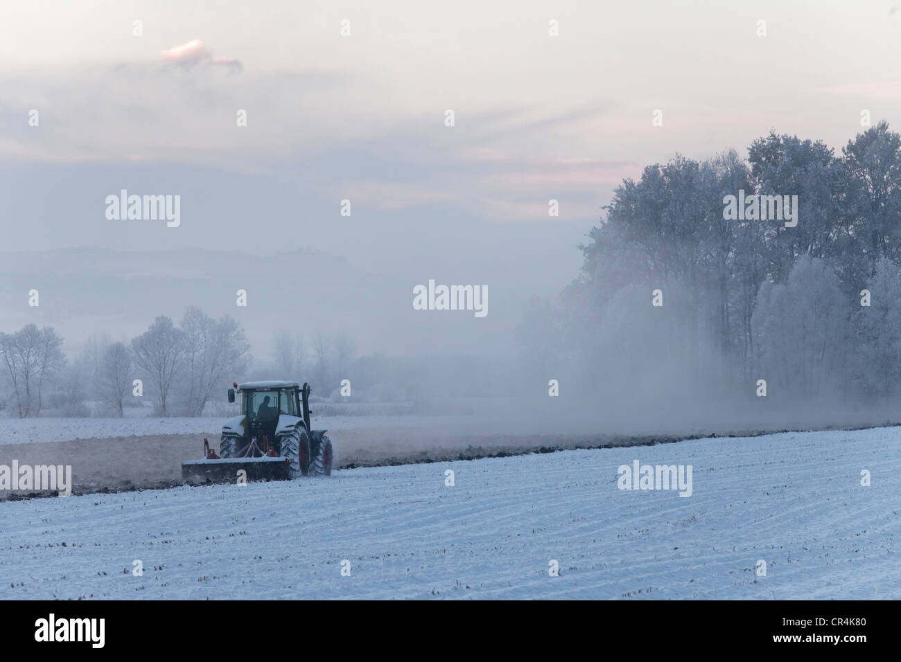 Il contadino arando il suo campo in inverno, Limagne pianura, Auvergne Francia, Europa Foto Stock