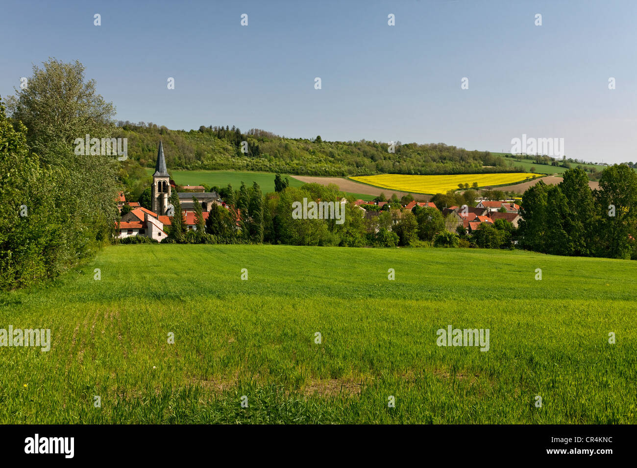 Villaggio di Jozerand, il paesaggio agricolo, Limagne pianura, Puy de Dome, Auvergne Francia, Europa Foto Stock
