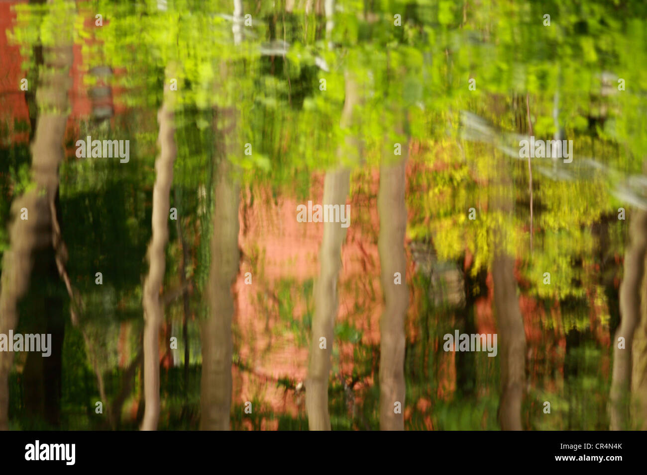 Le riflessioni di tronchi di alberi, arbusti e un edificio su un argine Foto Stock