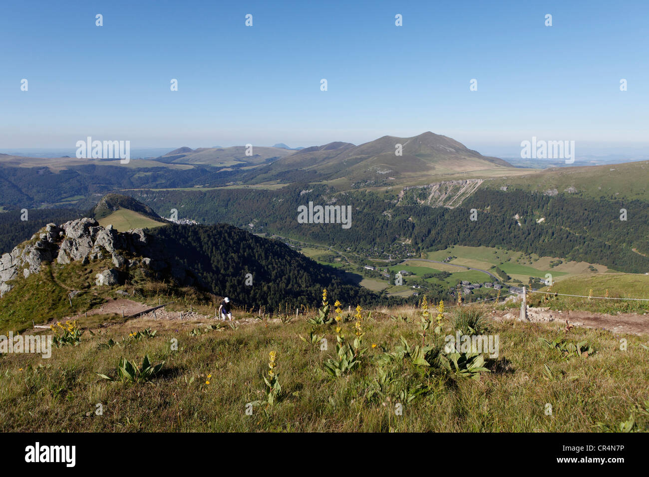 Monts Dore massiccio, escursionista Parc naturel regional des Volcans d'Auvergne, Auvergne parco naturale regionale dei vulcani, Puy de Dome Foto Stock