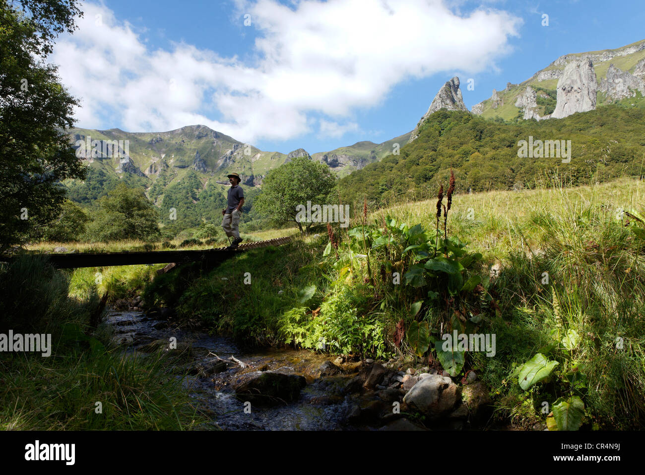 Escursionista attraversa una passerella Chaudefour valle riserva naturale, Parc Naturel Regional des Volcans d'Auvergne, Auvergne Vulcani Foto Stock