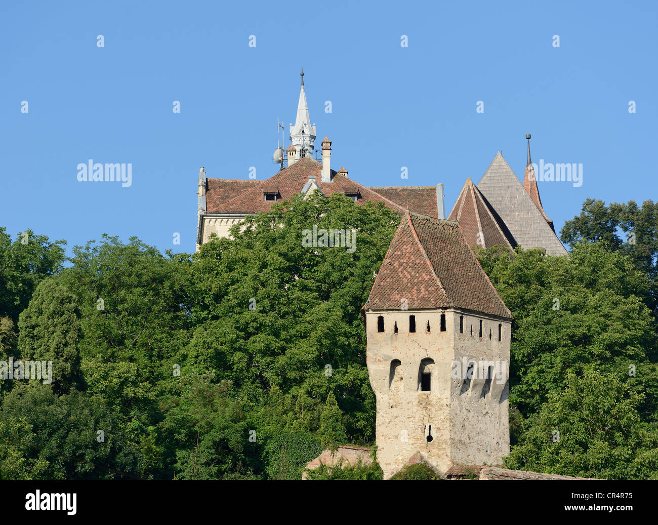 Vista delle spalmatrici di stagno la torre e la chiesa sulla collina, sito patrimonio mondiale dell'unesco, sighisoara, Transilvania, Romania, europa Foto Stock