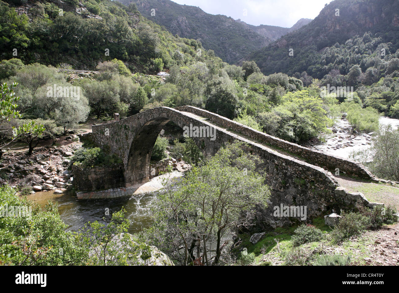 Gorges de Spelunca Ota Porto Corsica Francia Europa Foto Stock