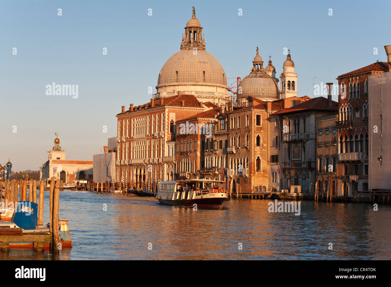 Basilica di Santa Maria della Salute Chiesa, Chiesa Votiva, Grand Canal, vaporetto, Venezia, Italia e Europa Foto Stock