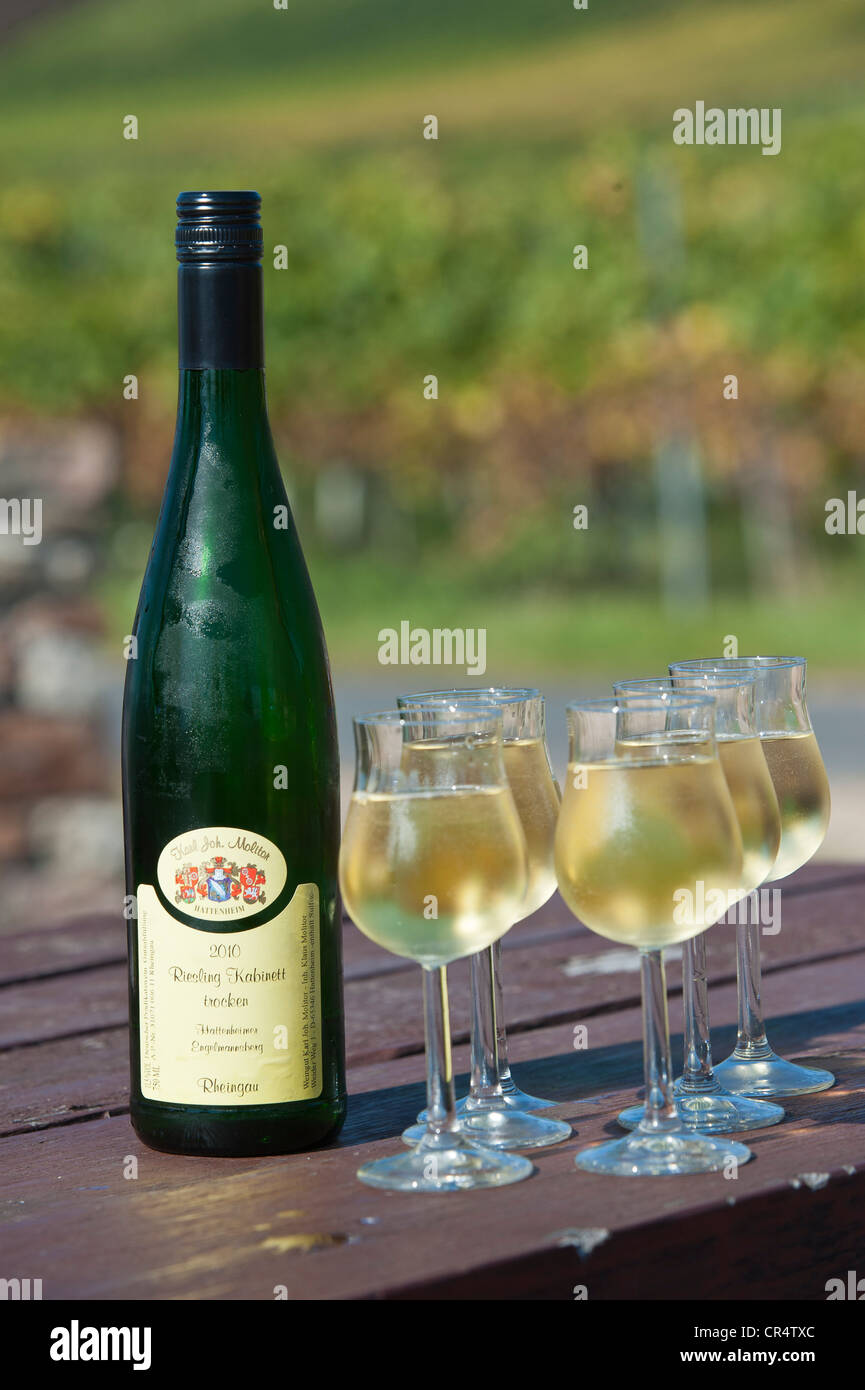 Il Riesling Kabinett vino bottiglia riempita con bicchieri di vino, Rheingau, Hesse, Germania, Europa Foto Stock