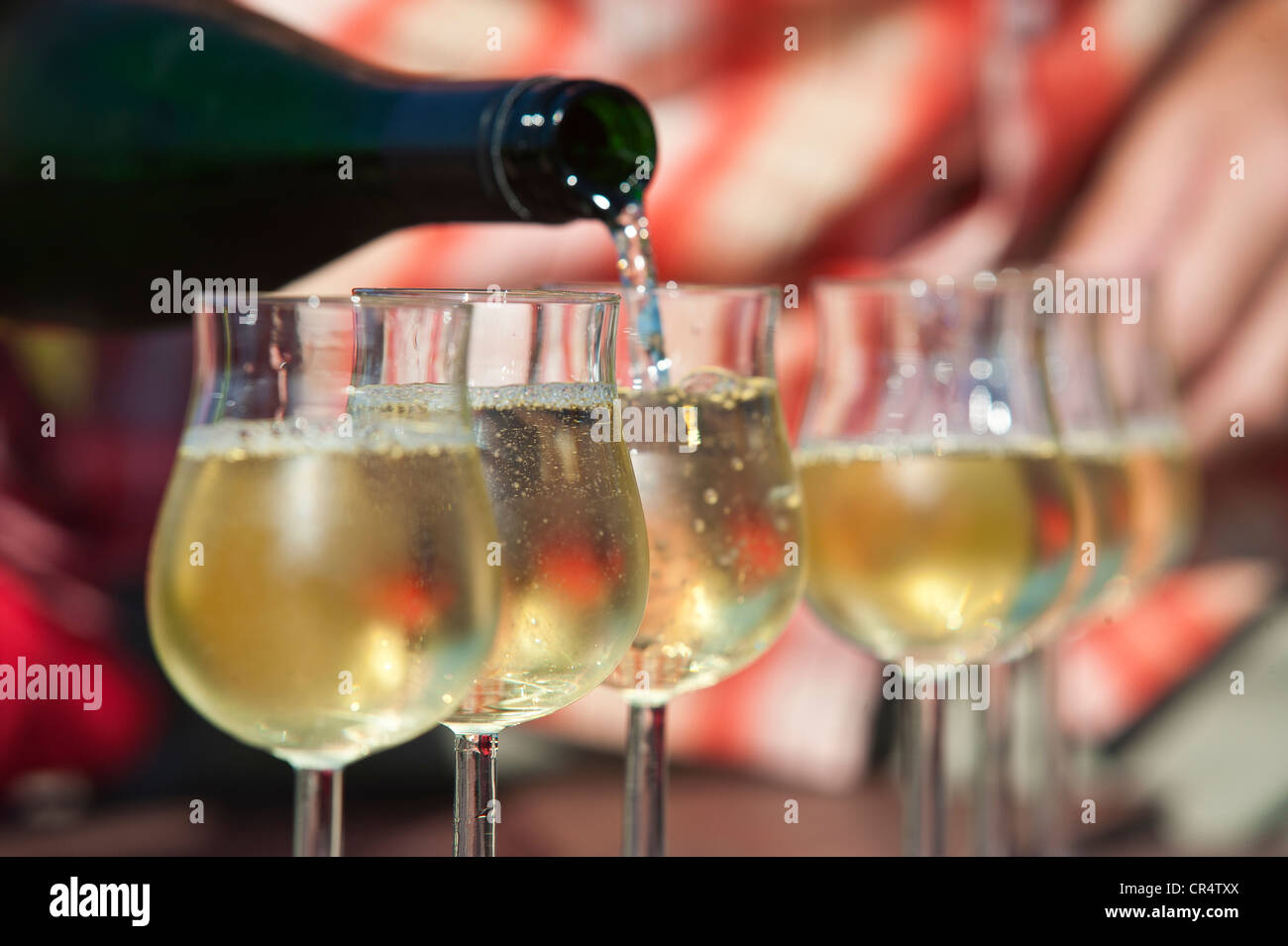 Il Riesling vino bianco di essere versata in bicchieri di vino, Rheingau, Hesse, Germania, Europa Foto Stock