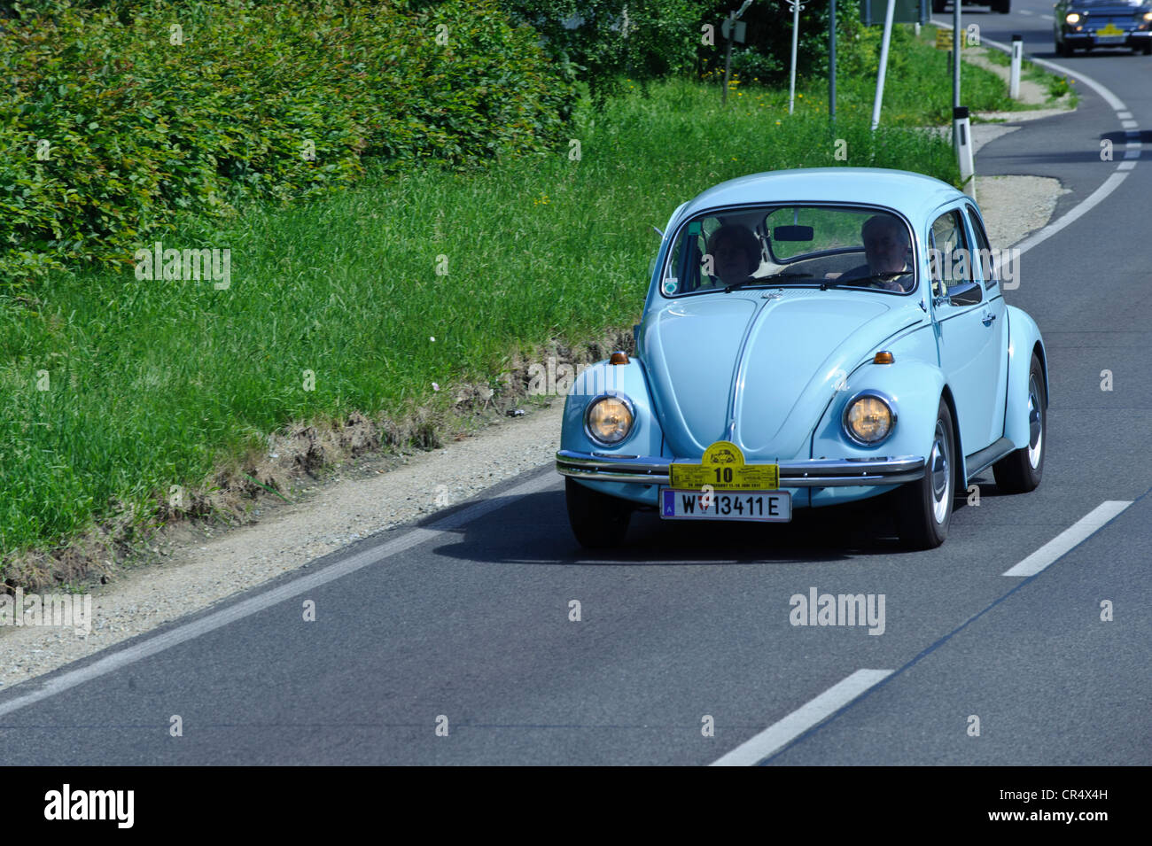 VW Beetle, classic car rally, valle di Wachau, Austria Inferiore, Austria, Europa Foto Stock