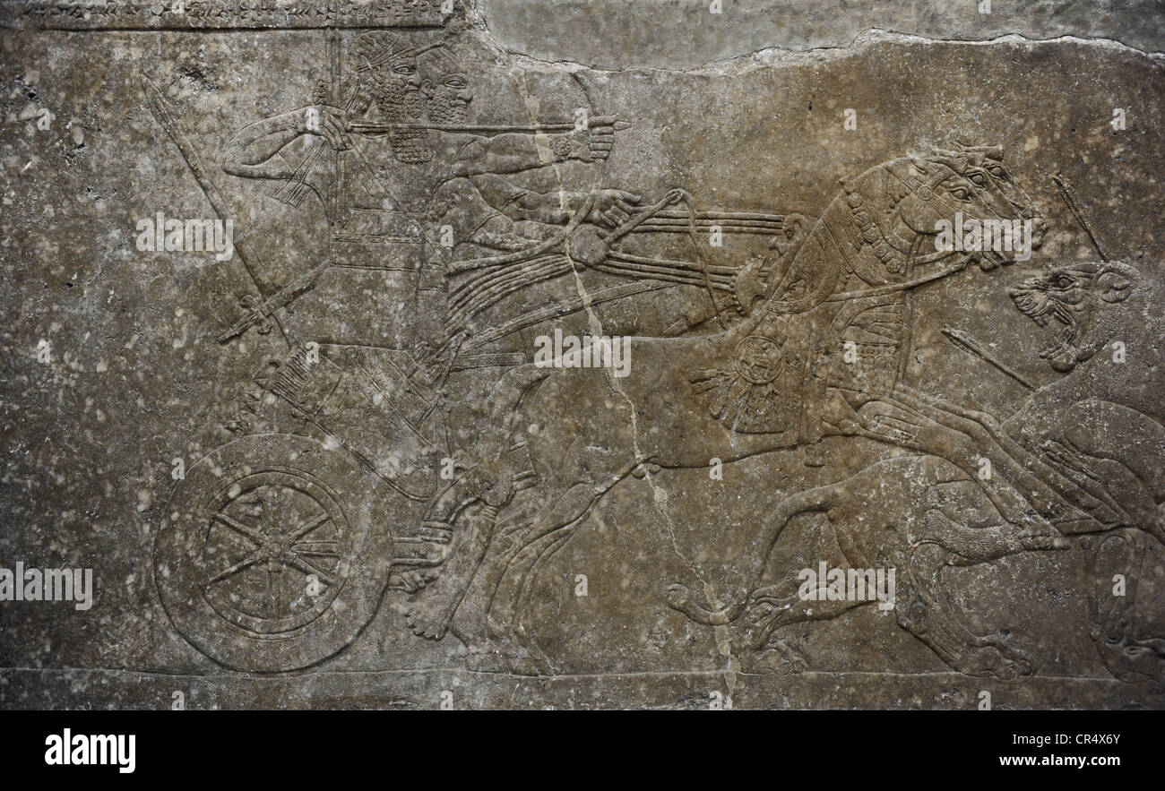 Arte mesopotamica Assiro l. Palazzo di Ashurnasirpal II. Nimrud. Alabastro. Il leone caccia. Sollievo. Pergamon Museum. Berlino. Foto Stock