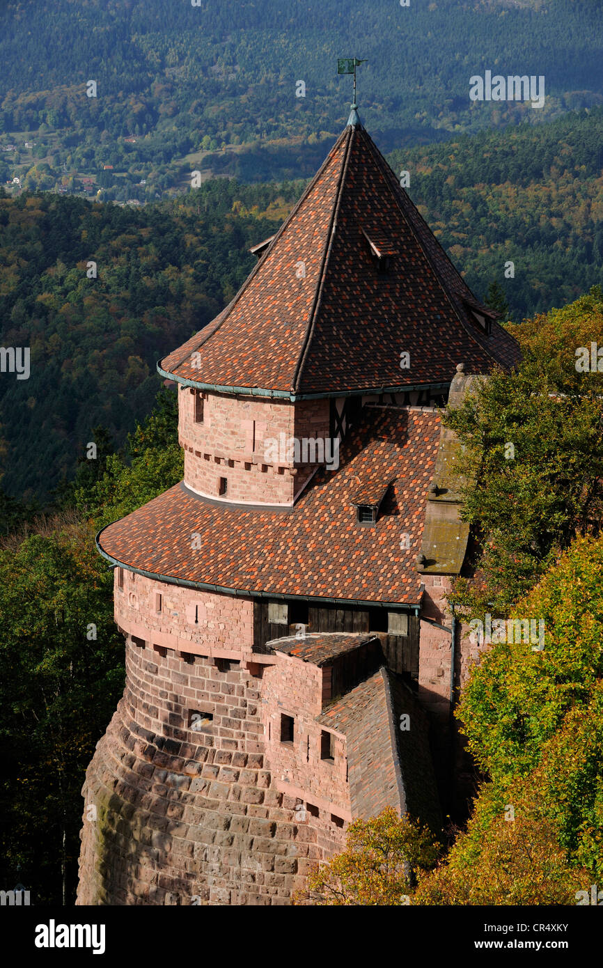 Francia, Bas Rhin, Orschwiller, Alsazia strada del vino, Haut Koenigsbourg Castello, il grande bastione che si affaccia sulla foresta intorno al Foto Stock