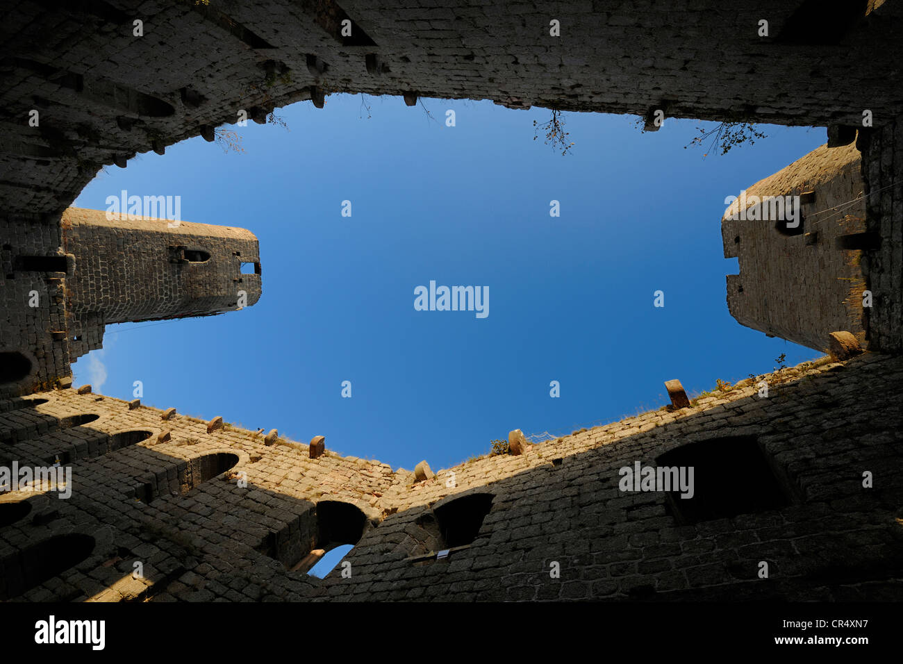 Francia, Bas Rhin, Barr, Alsazia strada del vino, Haut Andlau Castle Foto Stock