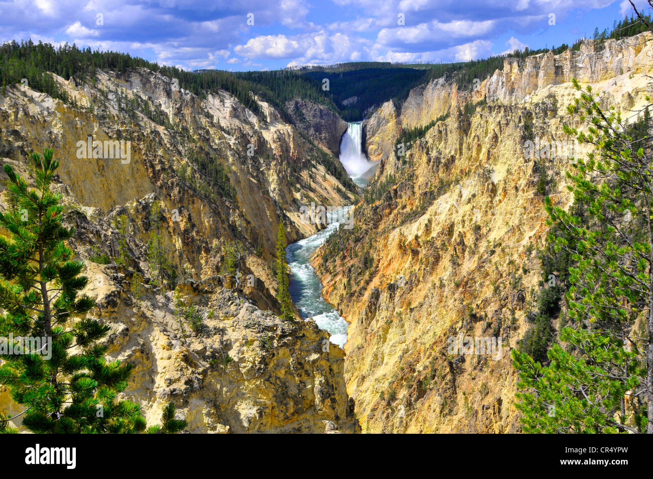 Le cascate Inferiori Yellowstone River National Park Wyoming WY negli Stati Uniti Foto Stock