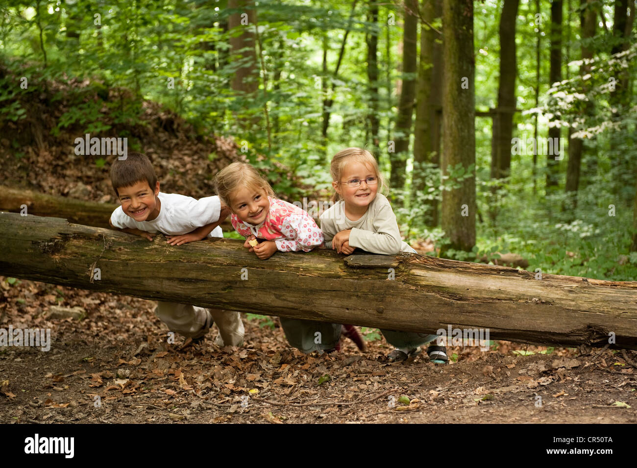 3 bambini, 6, 5 e 4 anni, giocando su un tronco di albero in una foresta Foto Stock