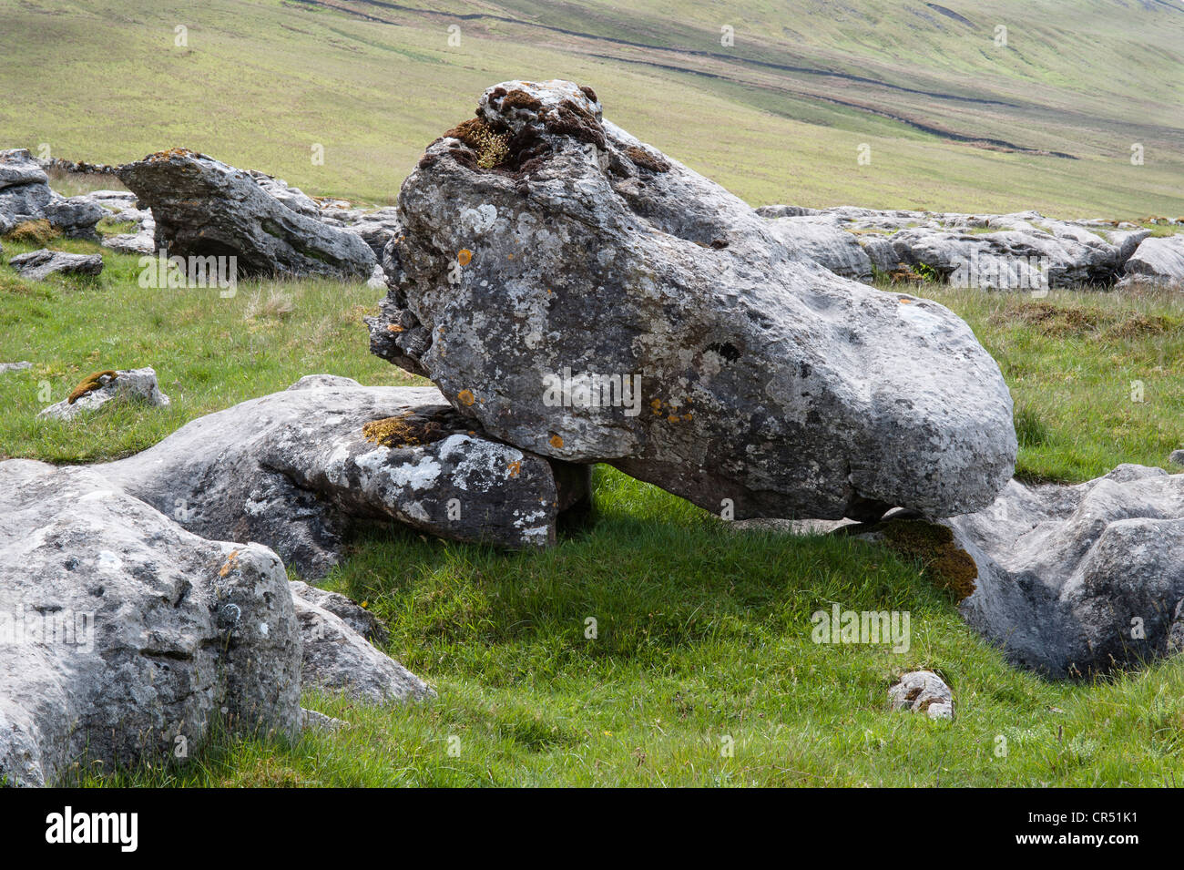 Massi di pietra calcarea IIngleborough riserva naturale nazionale Yorkshire Dales N.P. North Yorkshire England Regno Unito Europa Giugno Foto Stock