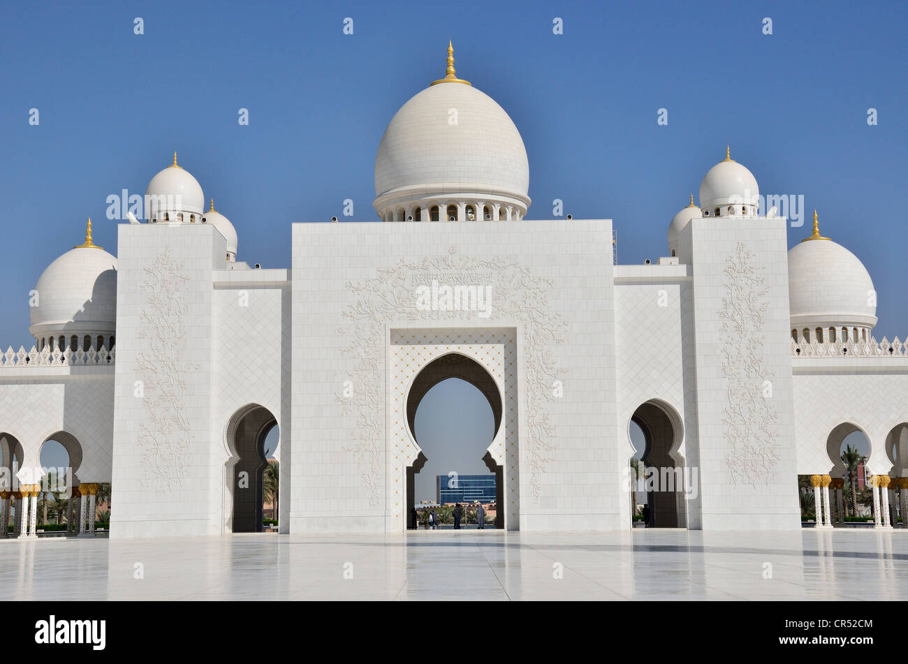 Moschea Sheikh Zayed, Abu Dhabi, Emirati arabi uniti, Penisola Arabica, Asia Foto Stock