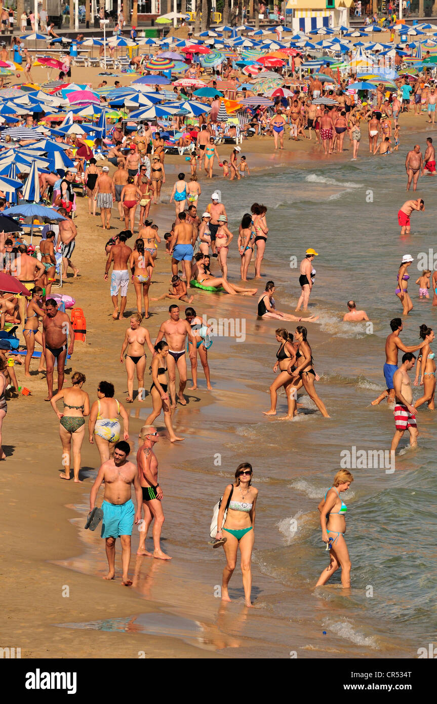 Bagnanti sulla Playa Levante Beach, il turismo di massa, Benidorm, Costa Blanca, Spagna, Europa Foto Stock