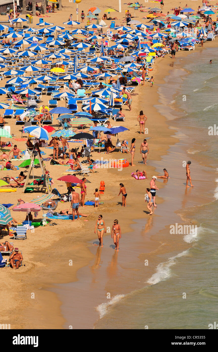 Bagnanti sulla Playa Levante Beach, il turismo di massa, Benidorm, Costa Blanca, Spagna, Europa Foto Stock