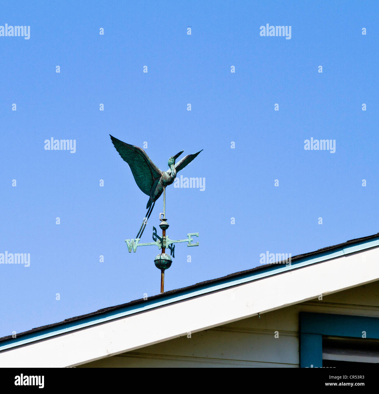 Frigate Bird banderuola Foto Stock
