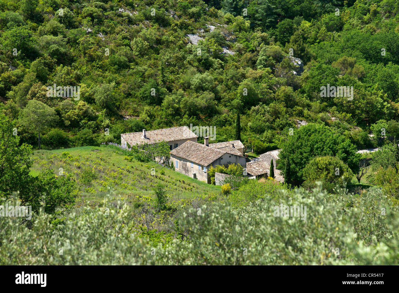 Agriturismo,Oppede, Vaucluse Petit Luberon, Provenza, Francia Foto Stock