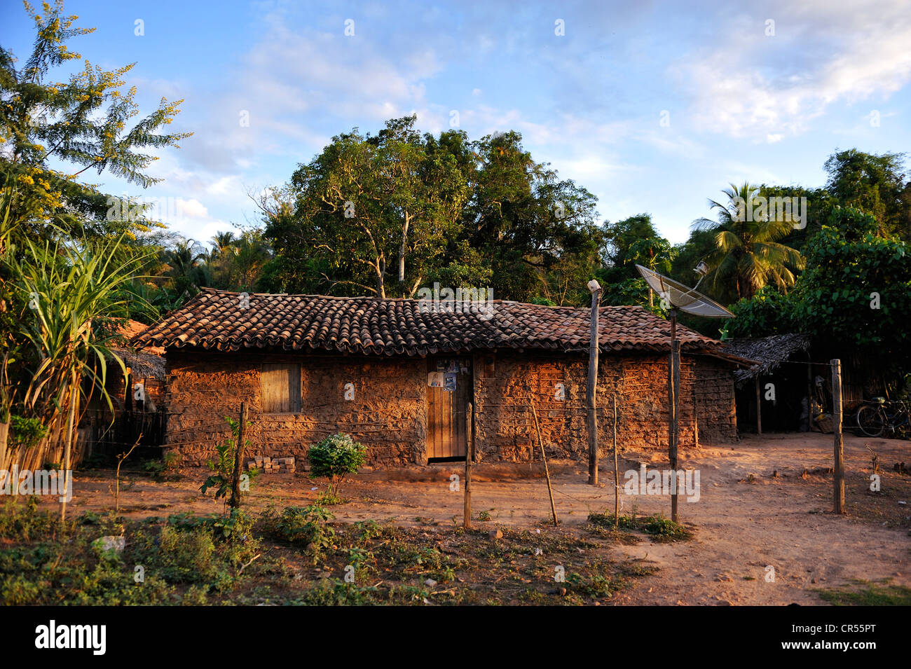 Casa tradizionale fatta di fango, Amazon rain forest, Maranhao, Brasile, Sud America, America Latina Foto Stock